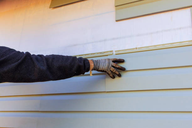 Historical Building Siding Restoration in Southern View, IL